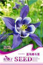 【藍(lán)鳥(niǎo)耬斗菜】最新最全藍(lán)鳥(niǎo)耬斗菜 產(chǎn)品參考信息