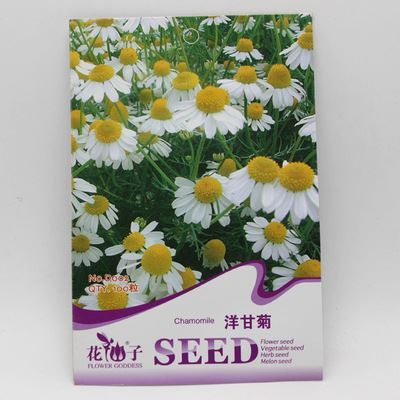 草花彩袋種子 彩包花卉種子【洋甘菊】家庭種植實(shí)用裝 約50粒-宿遷市國豪園林工程提供草花彩袋種子 彩包花卉種子【洋甘菊】家庭種植實(shí)用裝 約50粒的相關(guān)介紹、產(chǎn)品、服務(wù)、圖片、價(jià)格宿遷市國豪園林工程、種苗、花卉種子、園藝用具、盆栽、綠化苗木