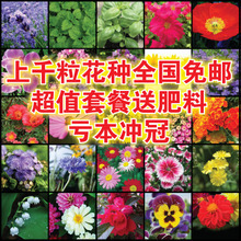 【陽臺花卉種子套餐】_綠植園藝價格_最新最全綠植園藝返利優惠_一淘網