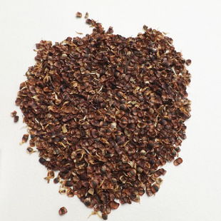 金雞菊花卉種子新彩金雞菊種子芳香花卉優質金雞菊種子